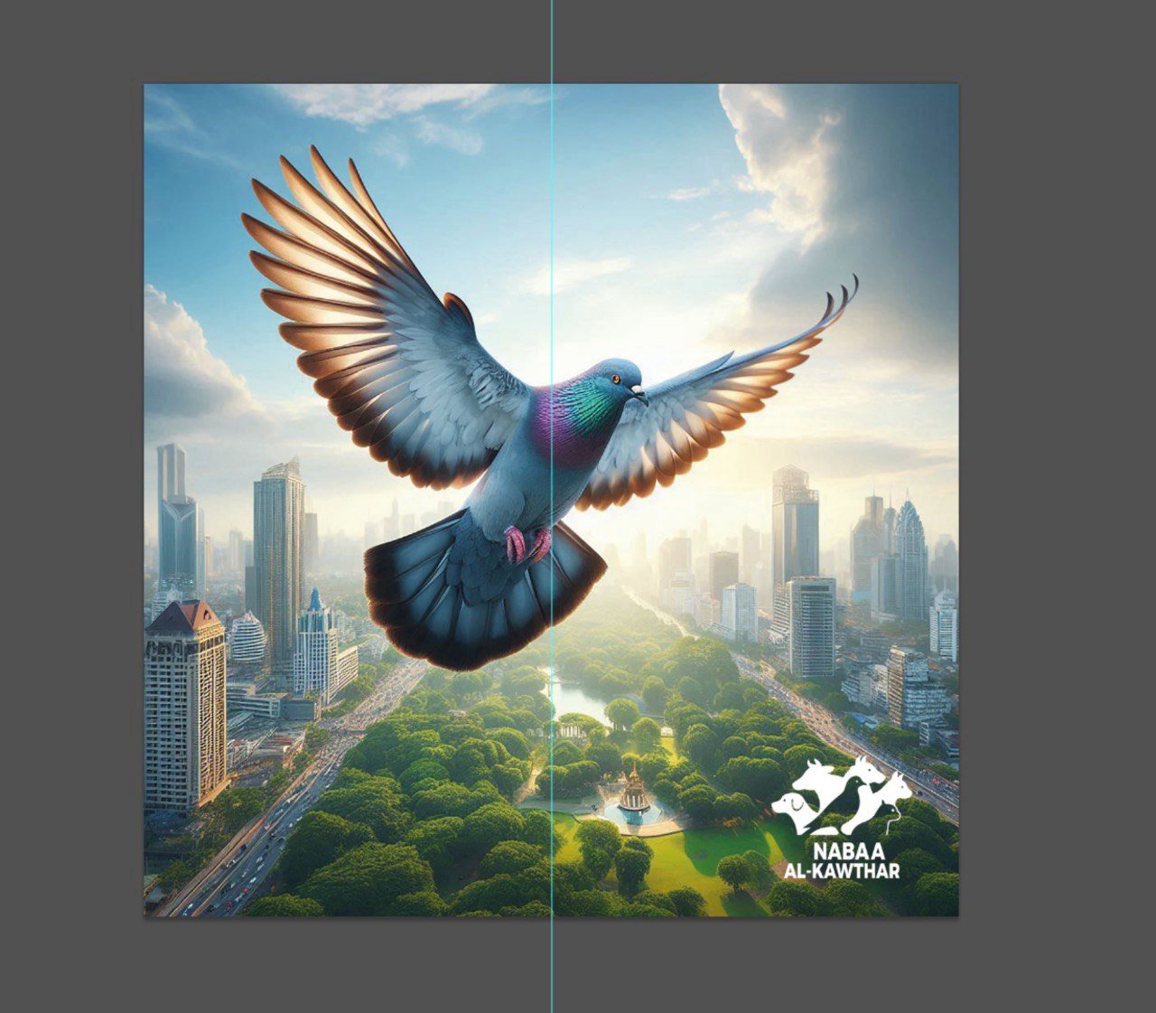 الطيور و الدواجن