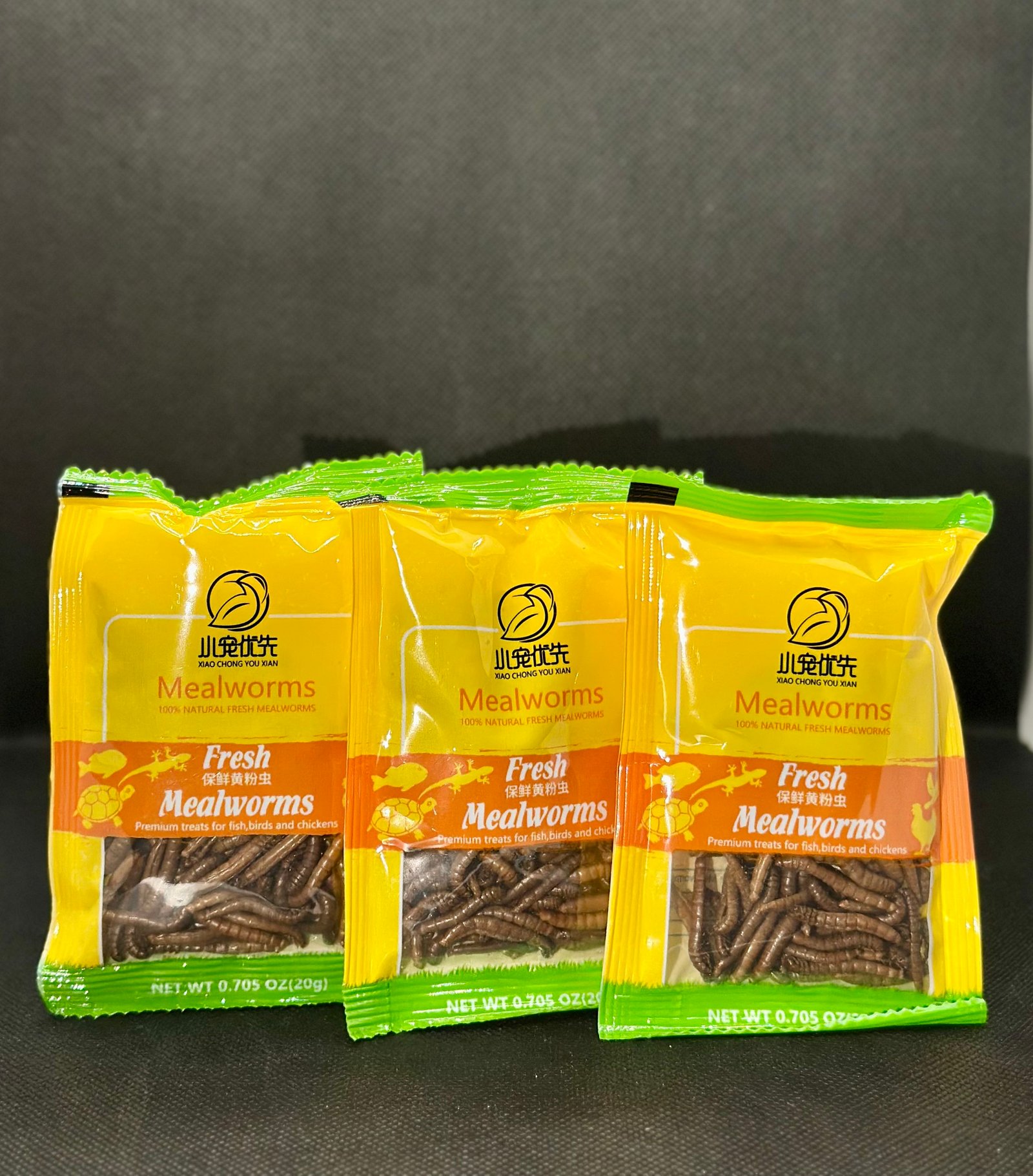 MEALS WORM - ديدان