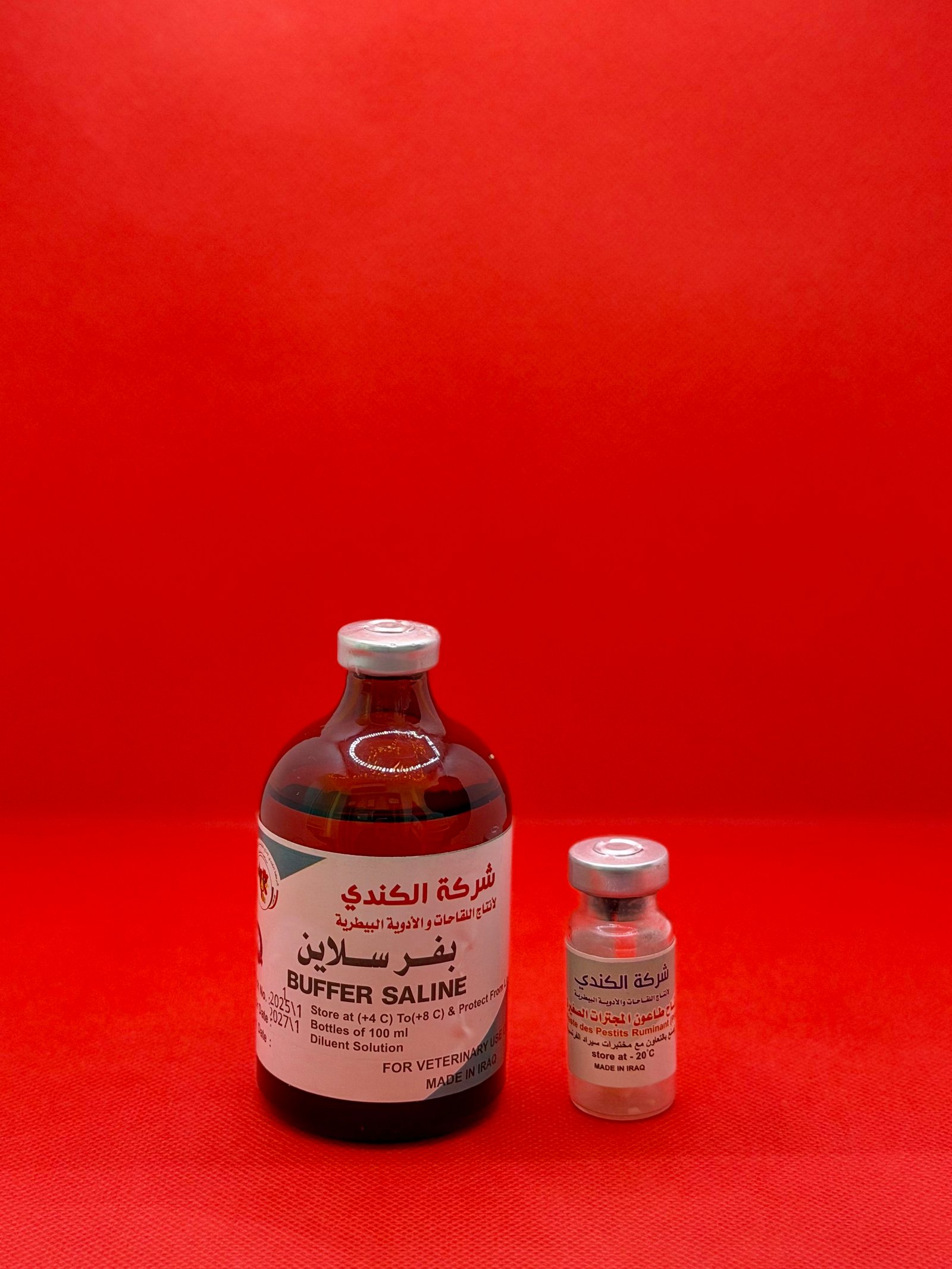 لقاح طاعون مجترات - الكندي