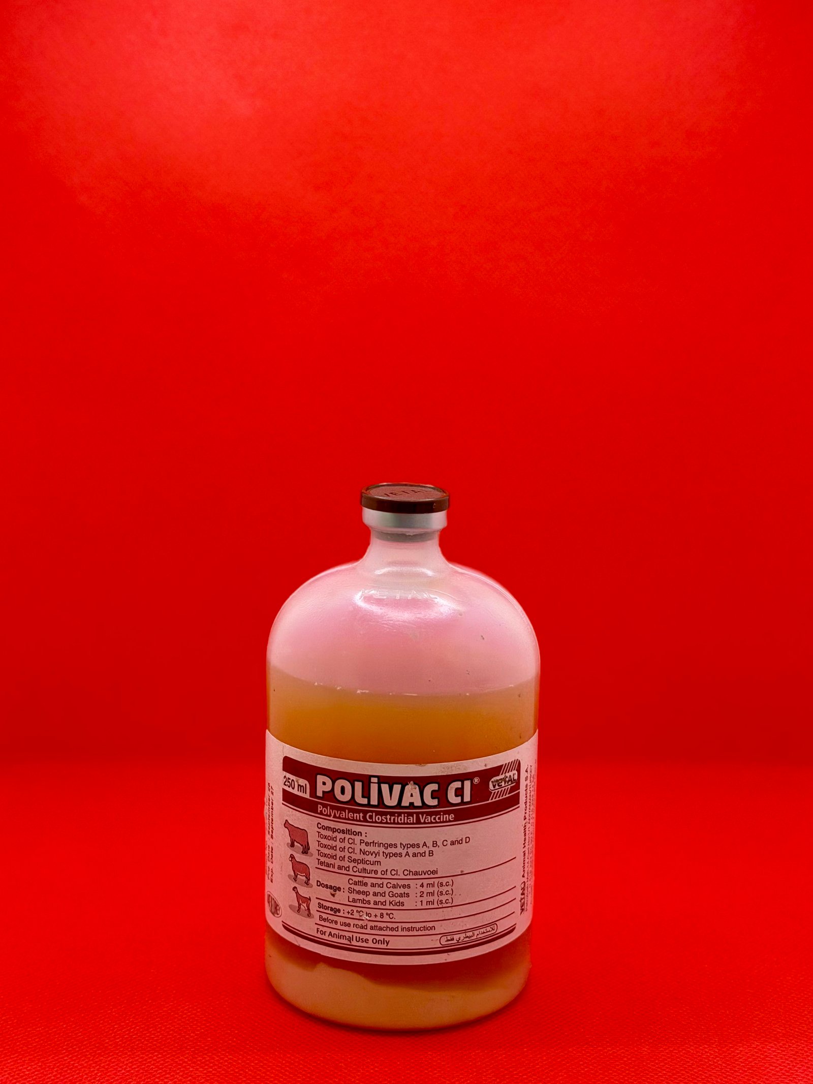 لقاح تسمم معوي 250 مل - Polivac 1