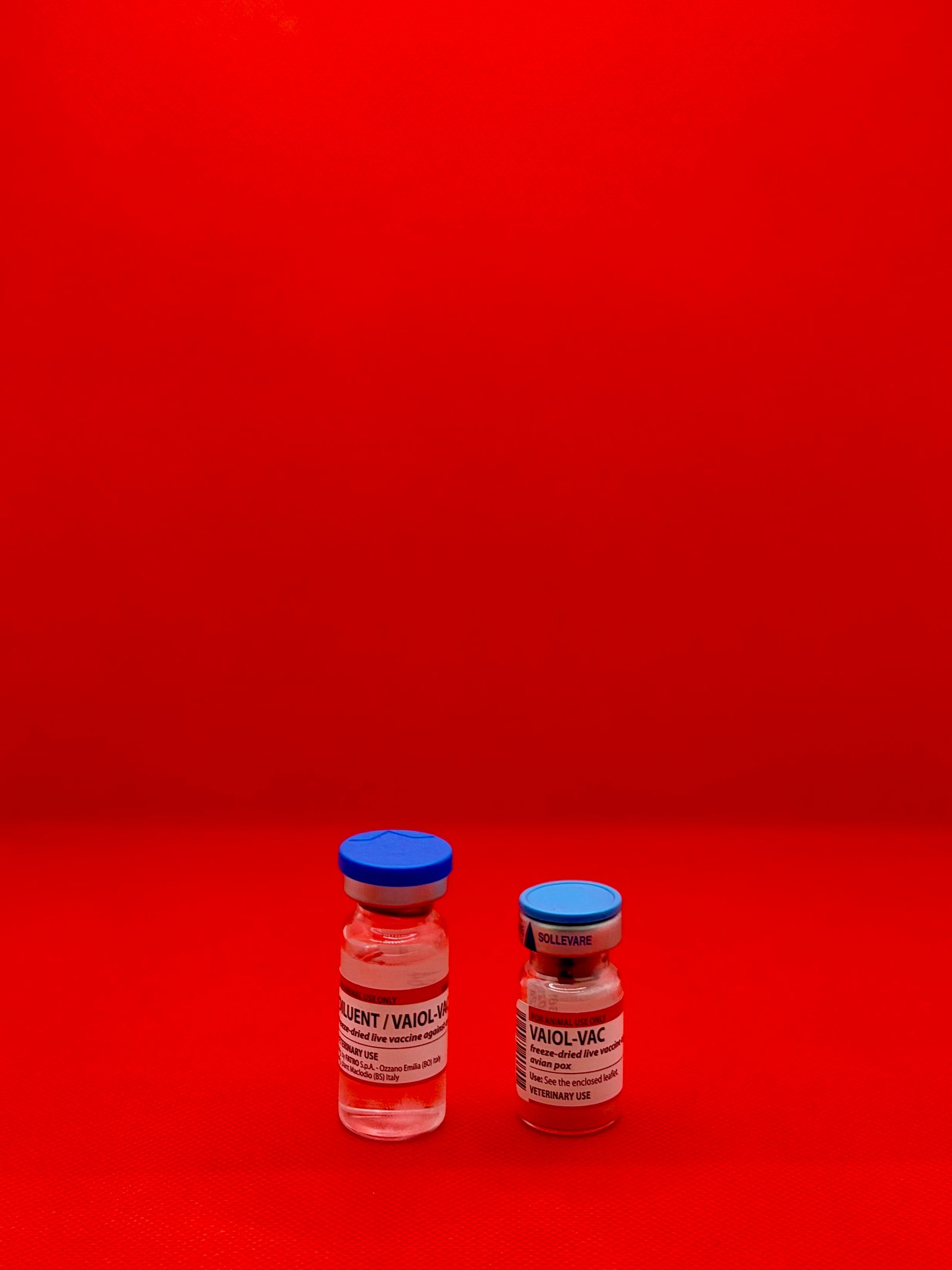 لقاح جدري ايطالي