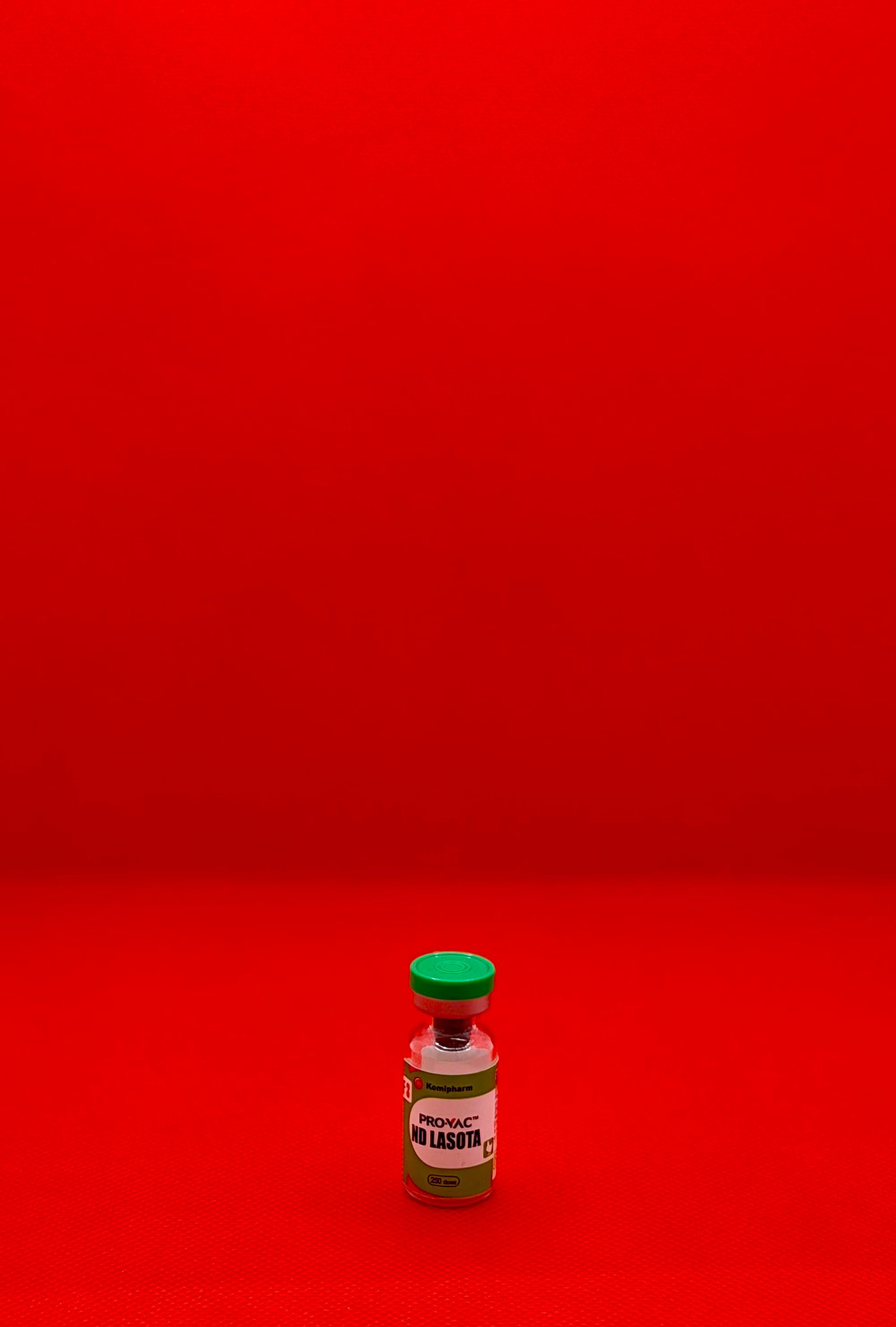 نيوكاسل لاسوتا - بروفاك